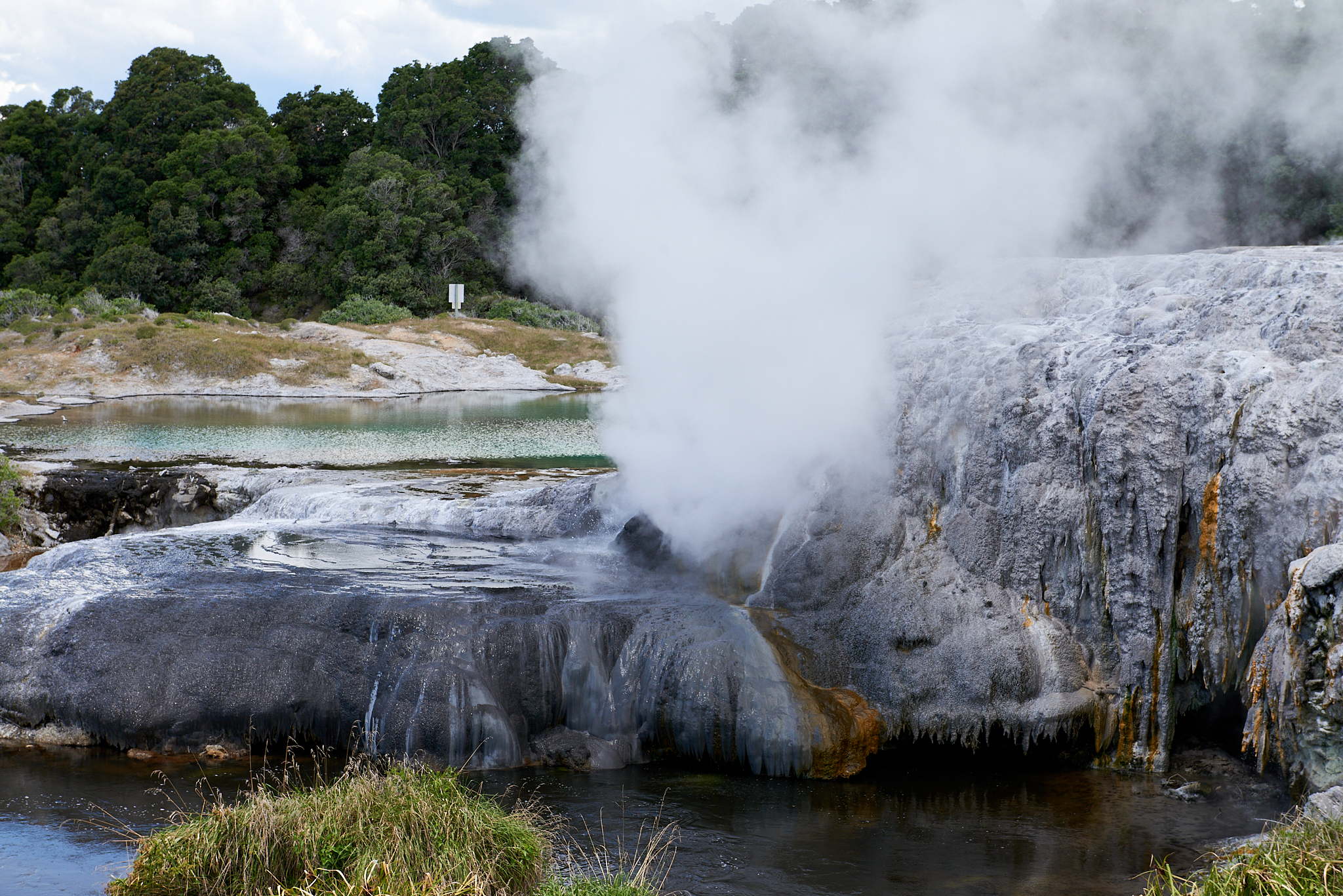 20180129 096 뉴질랜드 포후투